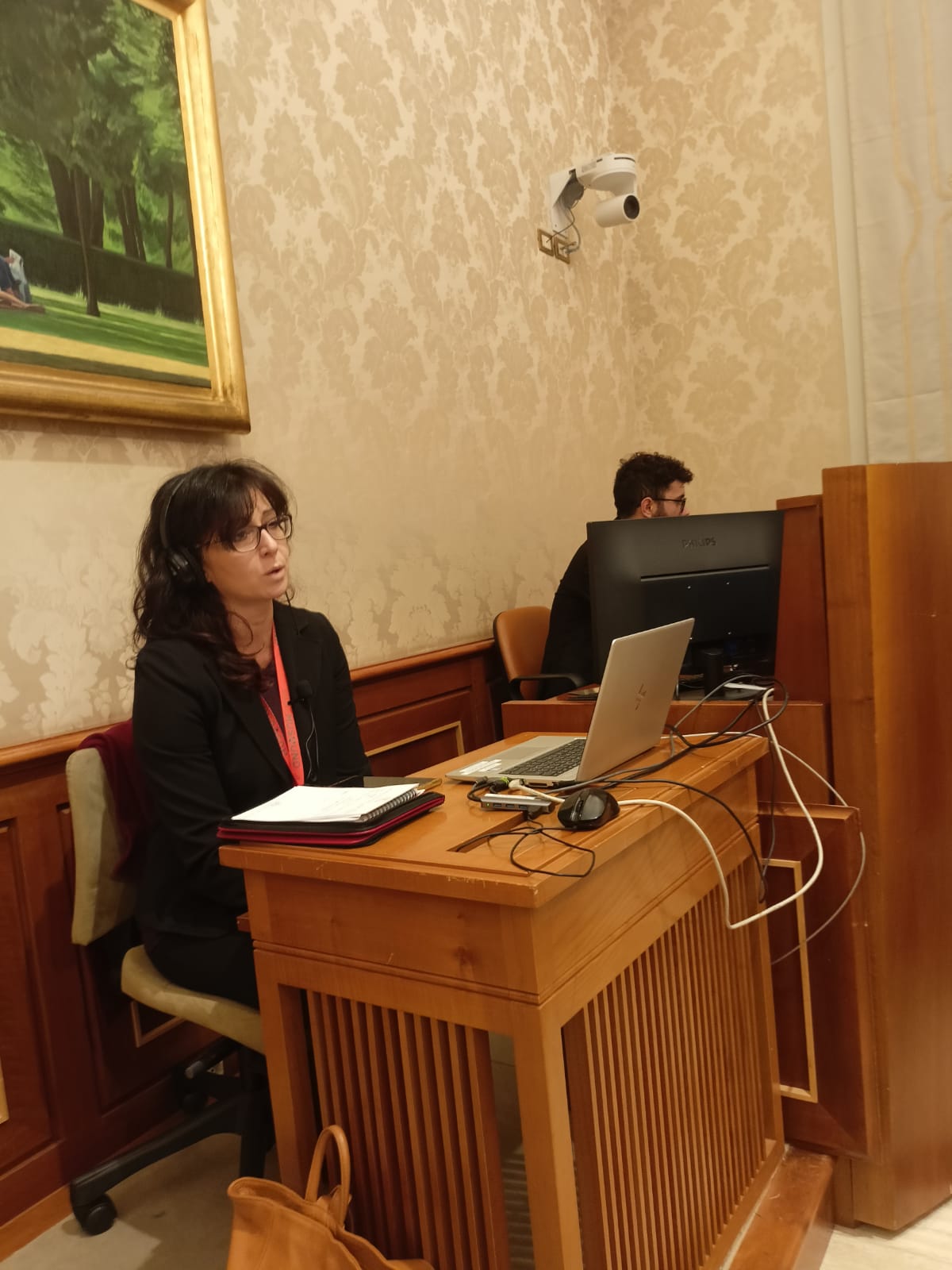 Interprete simultanea biduel al senato